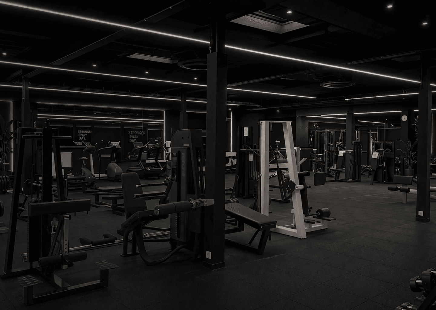 Rebuild fitnessruimte in Antwerpen